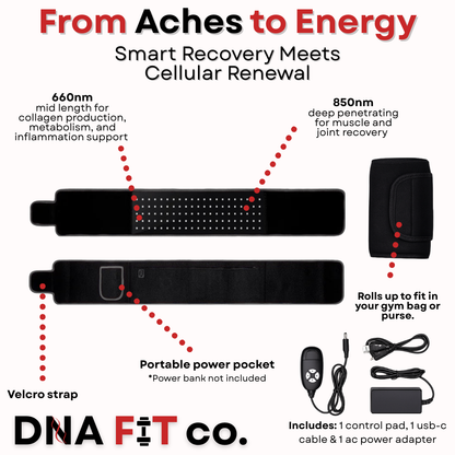 DNA FIT Red Light Therapy Belt